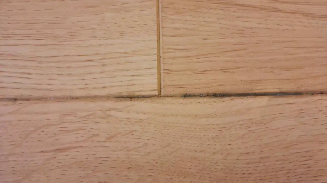 1595493307151255.jpg 640.webp (1).jpg